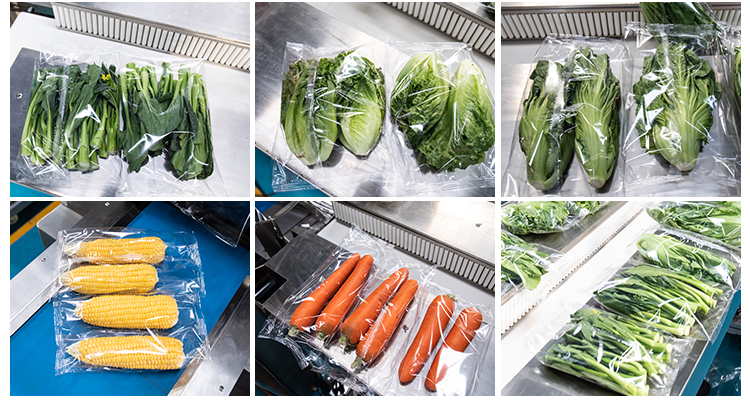 福建(jiàn)蔬菜包裝(zhuāng)機-圖片1