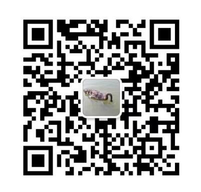 廈門環形焊縫自動（dòng）焊設（shè）備專機定製